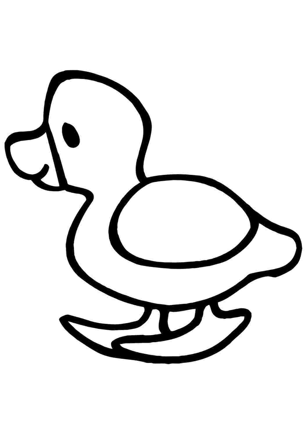Раскраска Уточка