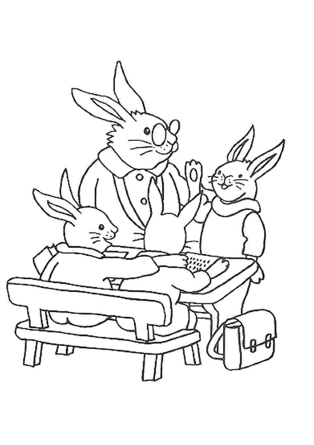 Раскраска Школа зайцев