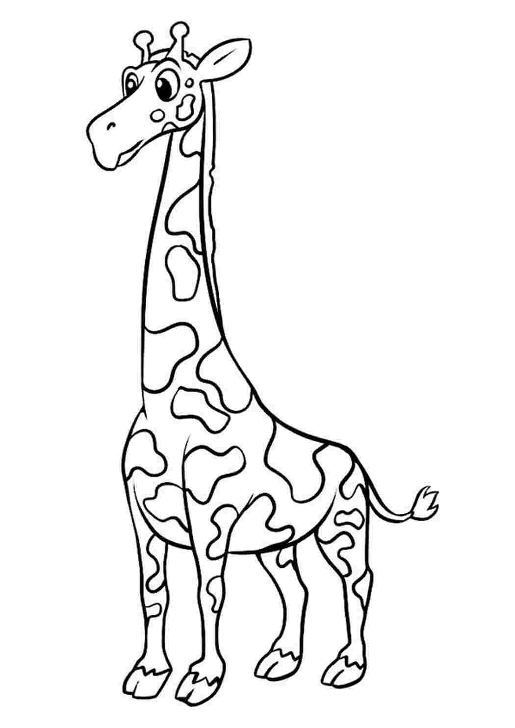 Жираф раскраска цветная