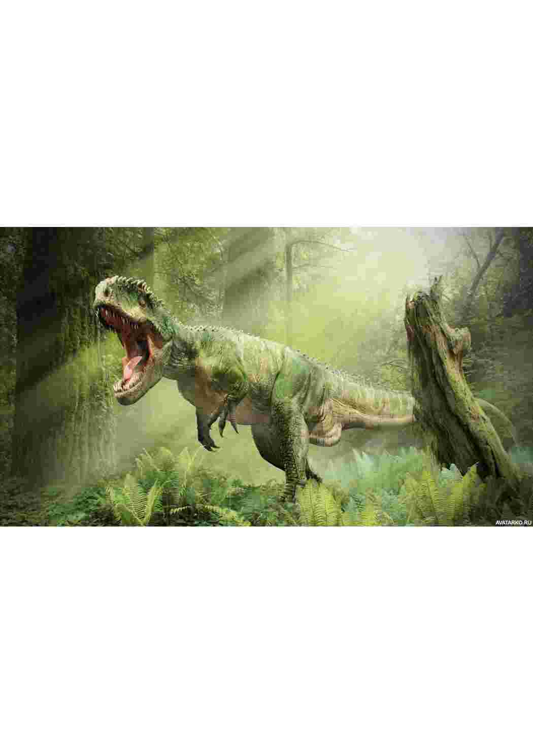 Раскраска динозавры большие разных видов динозавры