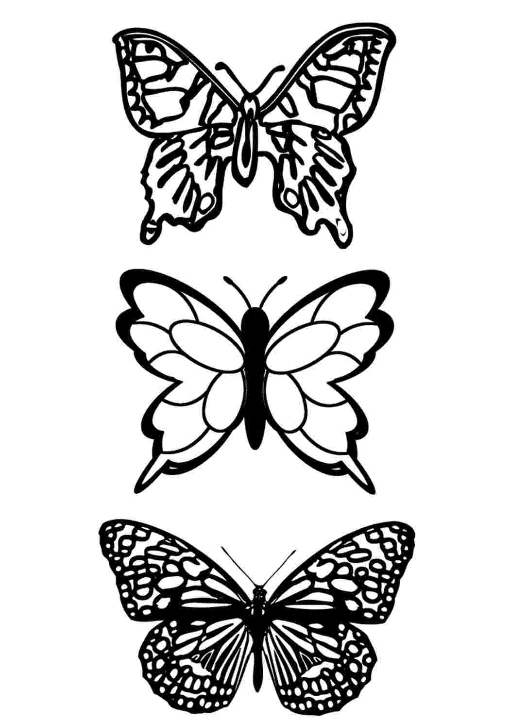 Butterflies | Coloring pages for children 6 and 7 years old