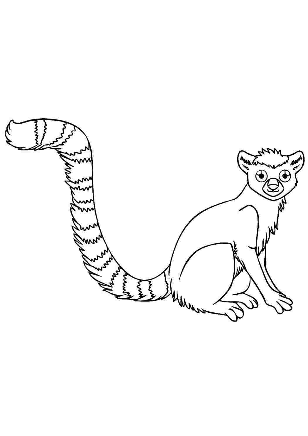 Раскраска Лемур