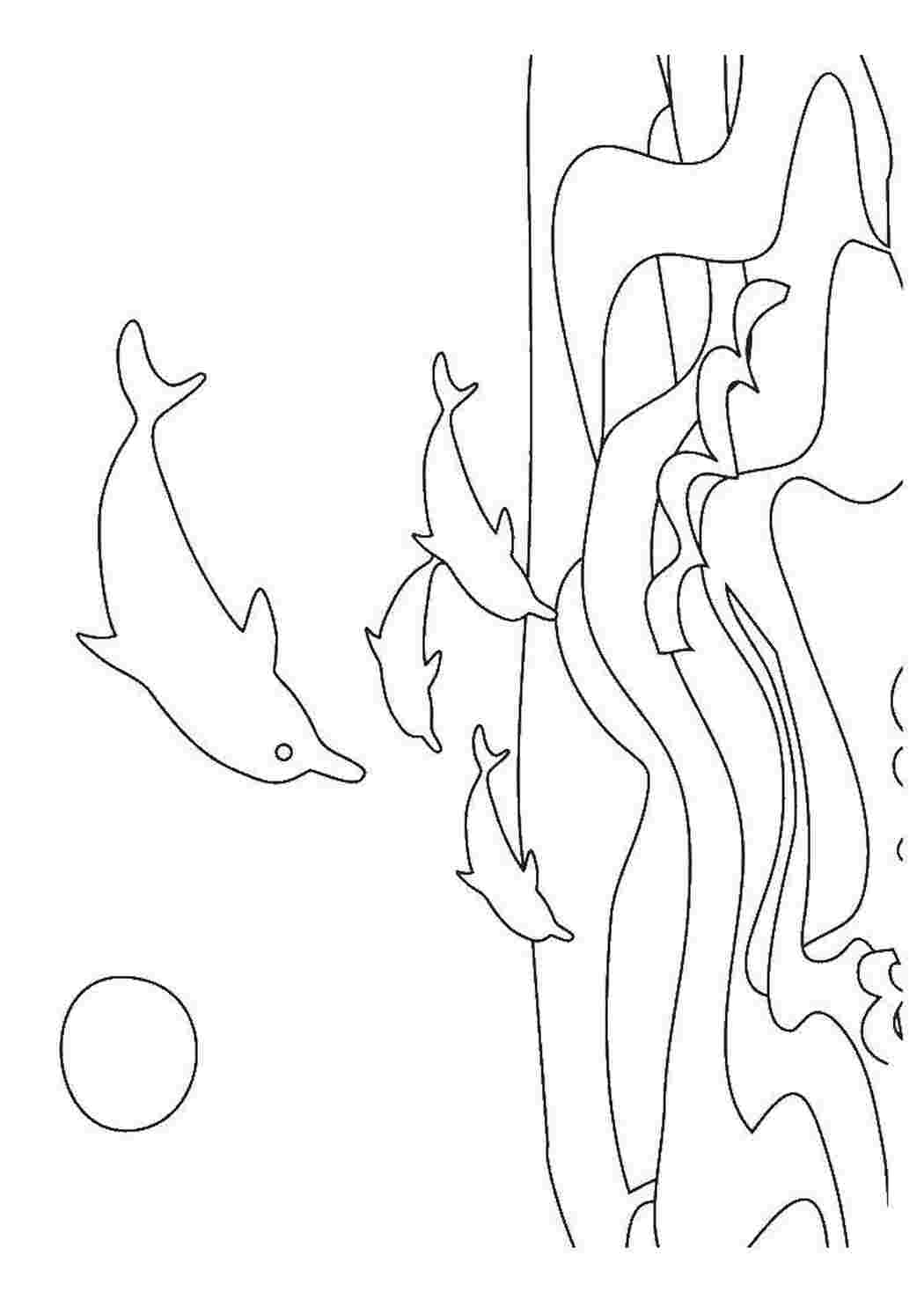 Раскраска Дельфины