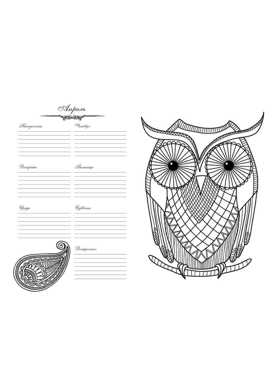 Раскраска Ежедневник-раскраска сова