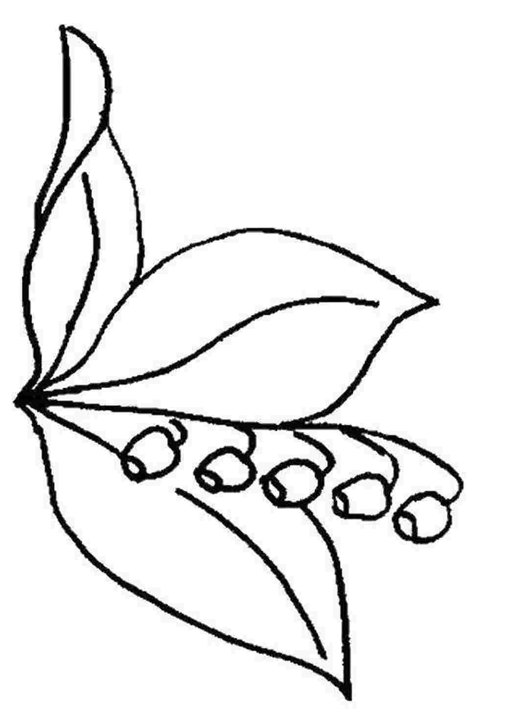 Раскраска для детей 3 лет цветок ландыша