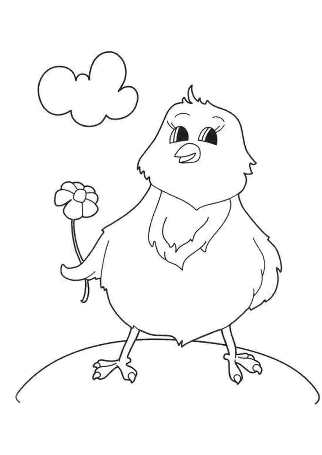 Раскраска Раскраска. Цыплёнок