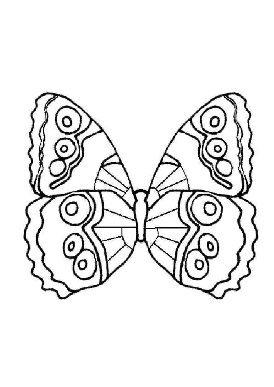 Раскраска Бабочка