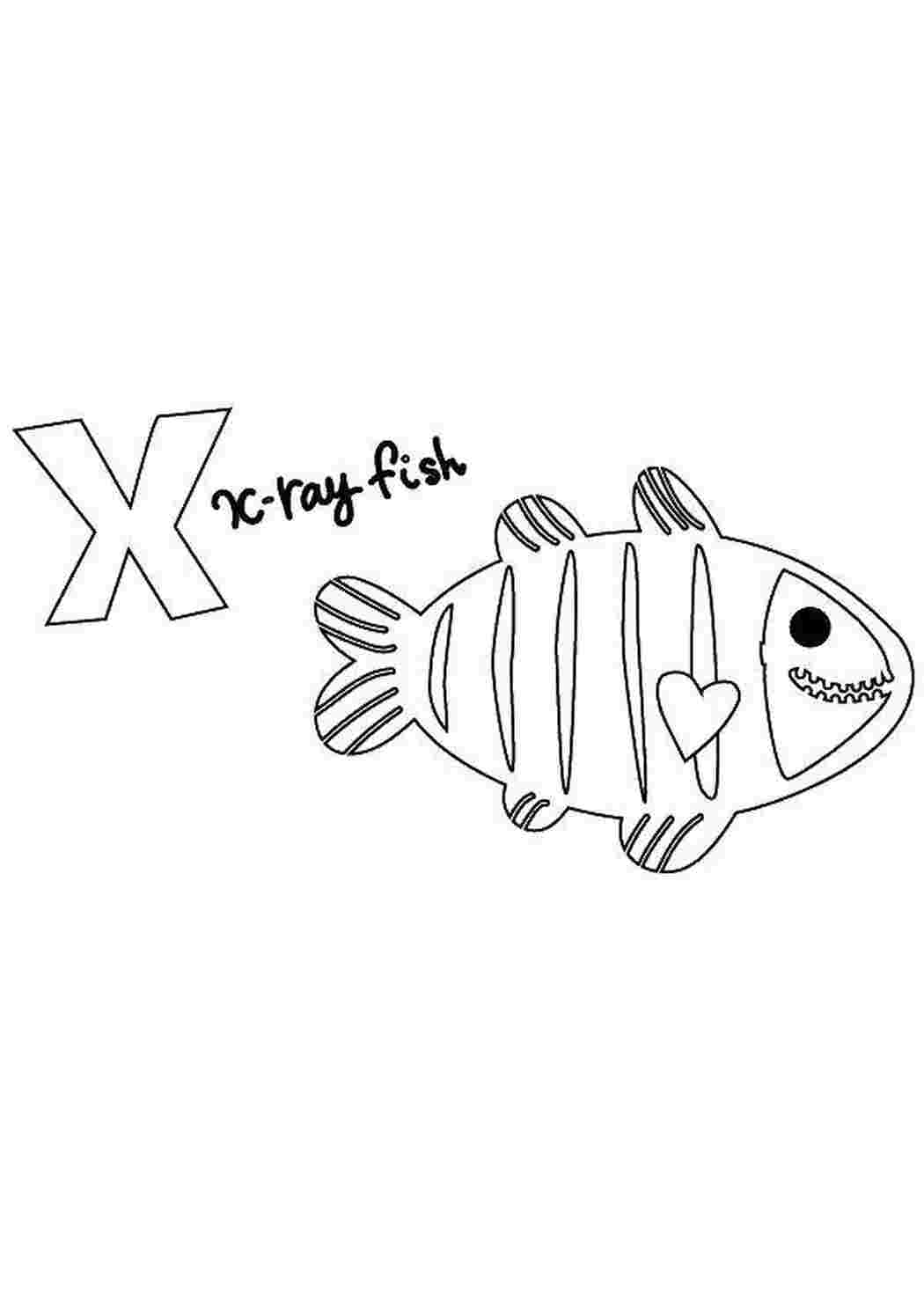 Рентгеновская рыба раскраска