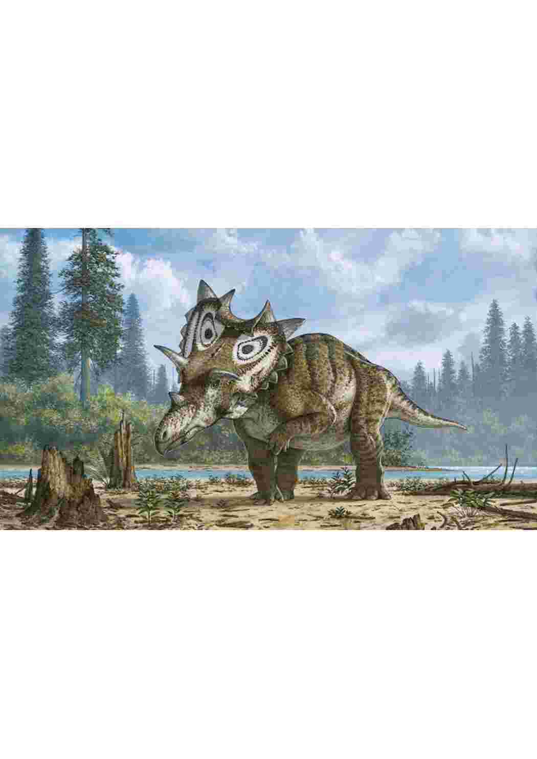 Раскраска динозавры большие разных видов динозавры