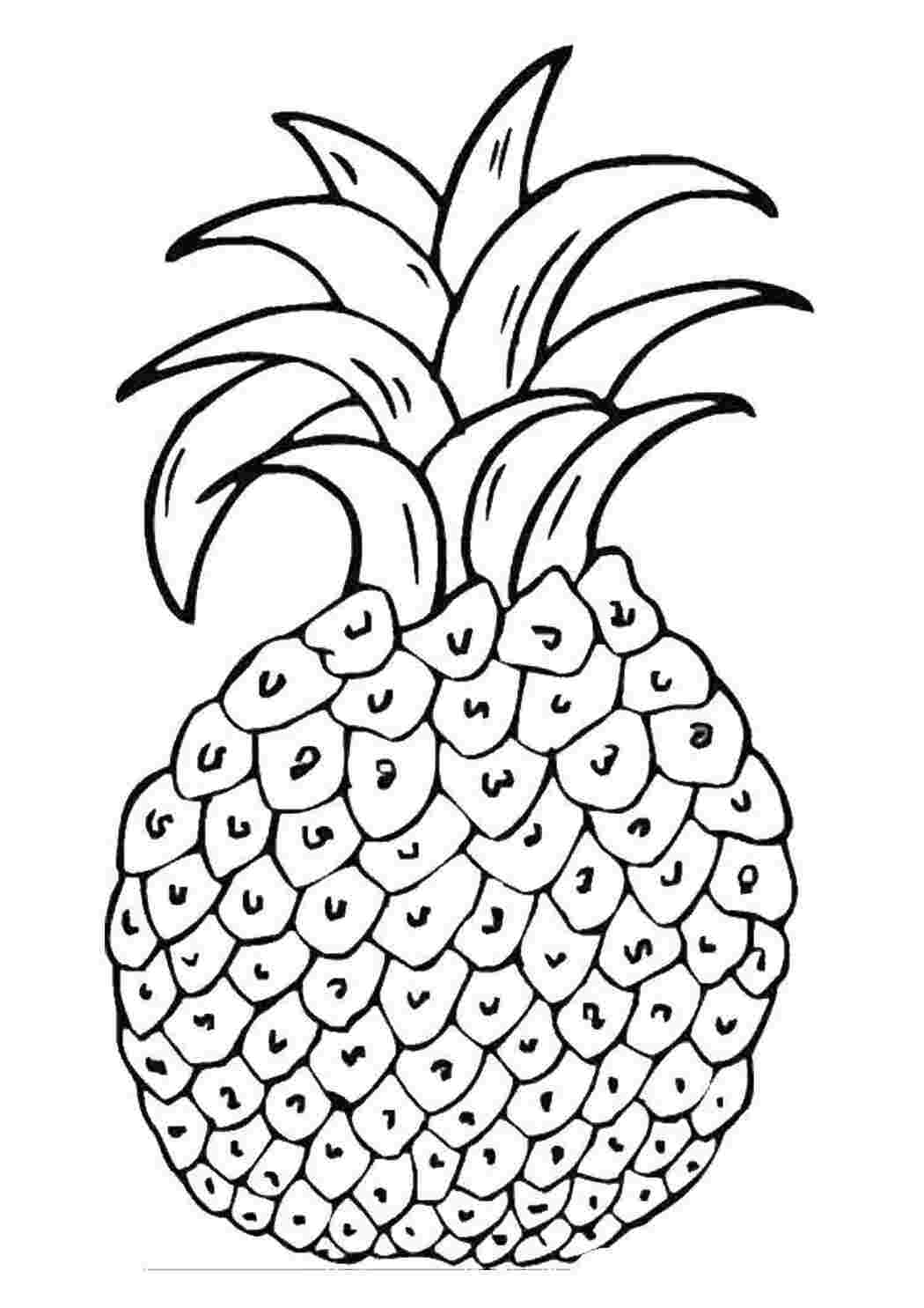 Раскраска Ананас