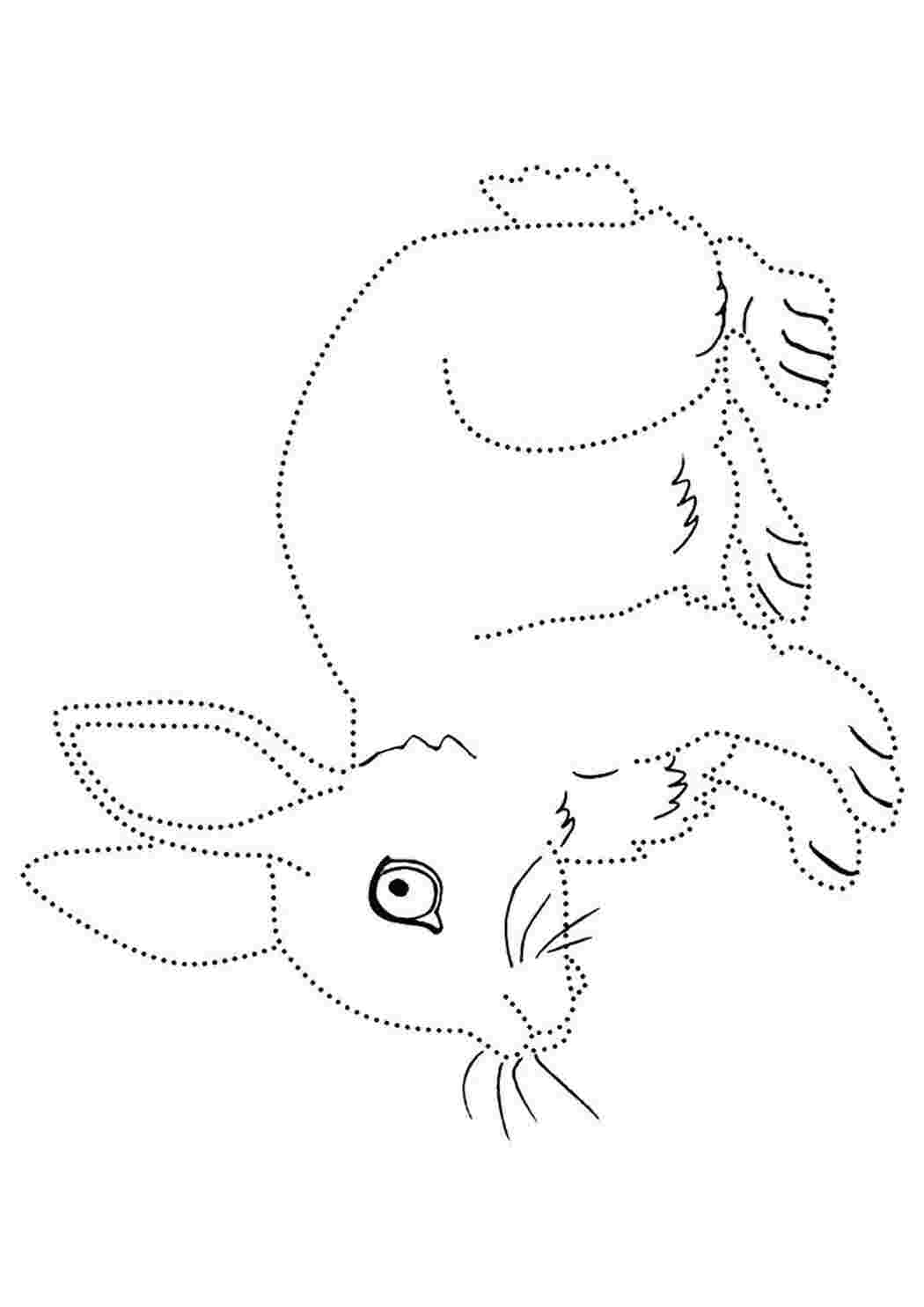 Раскраска зайчик