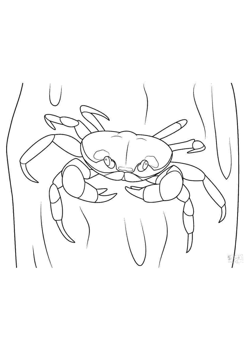 Раскраска Краб
