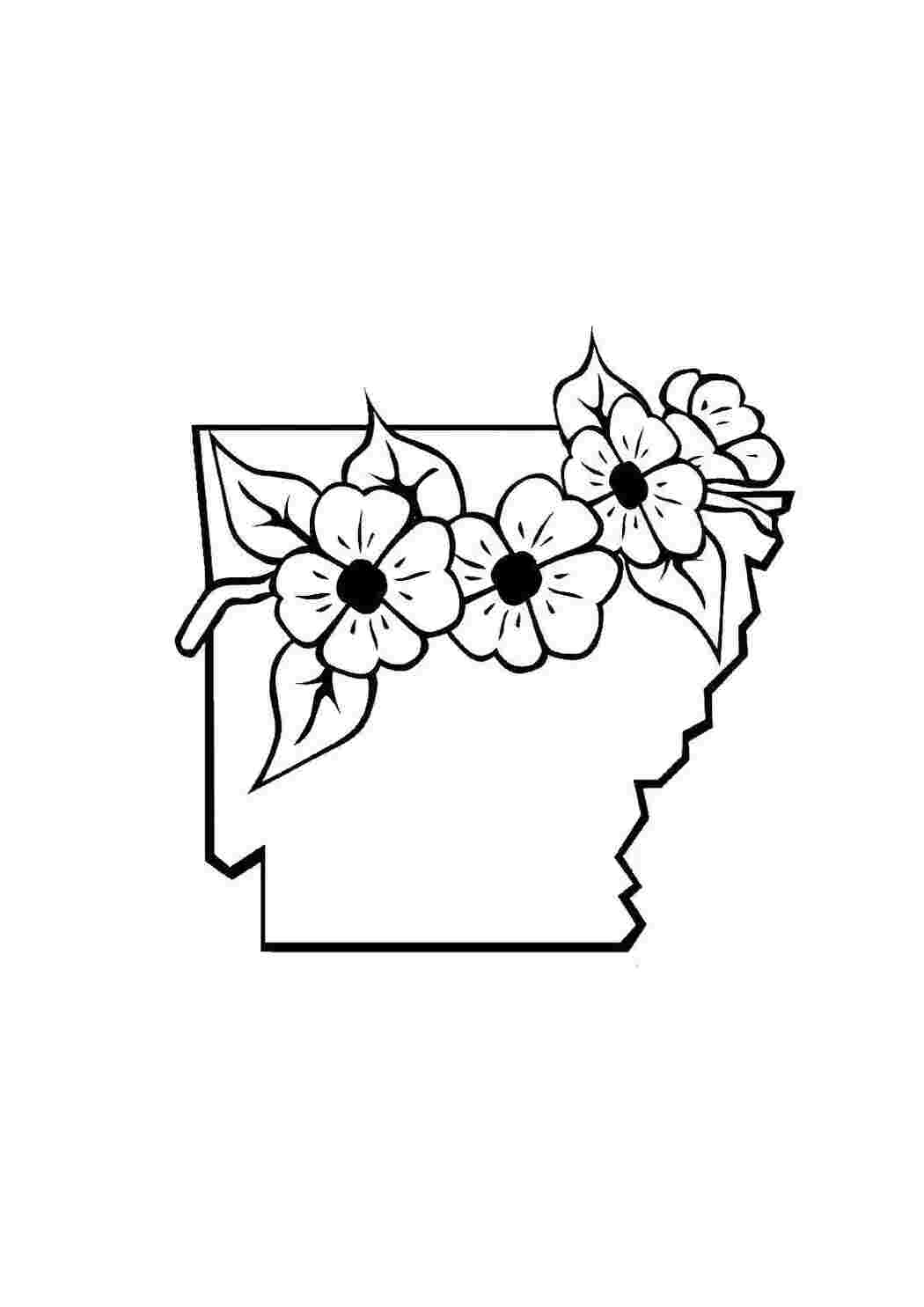 Раскраска Цветы