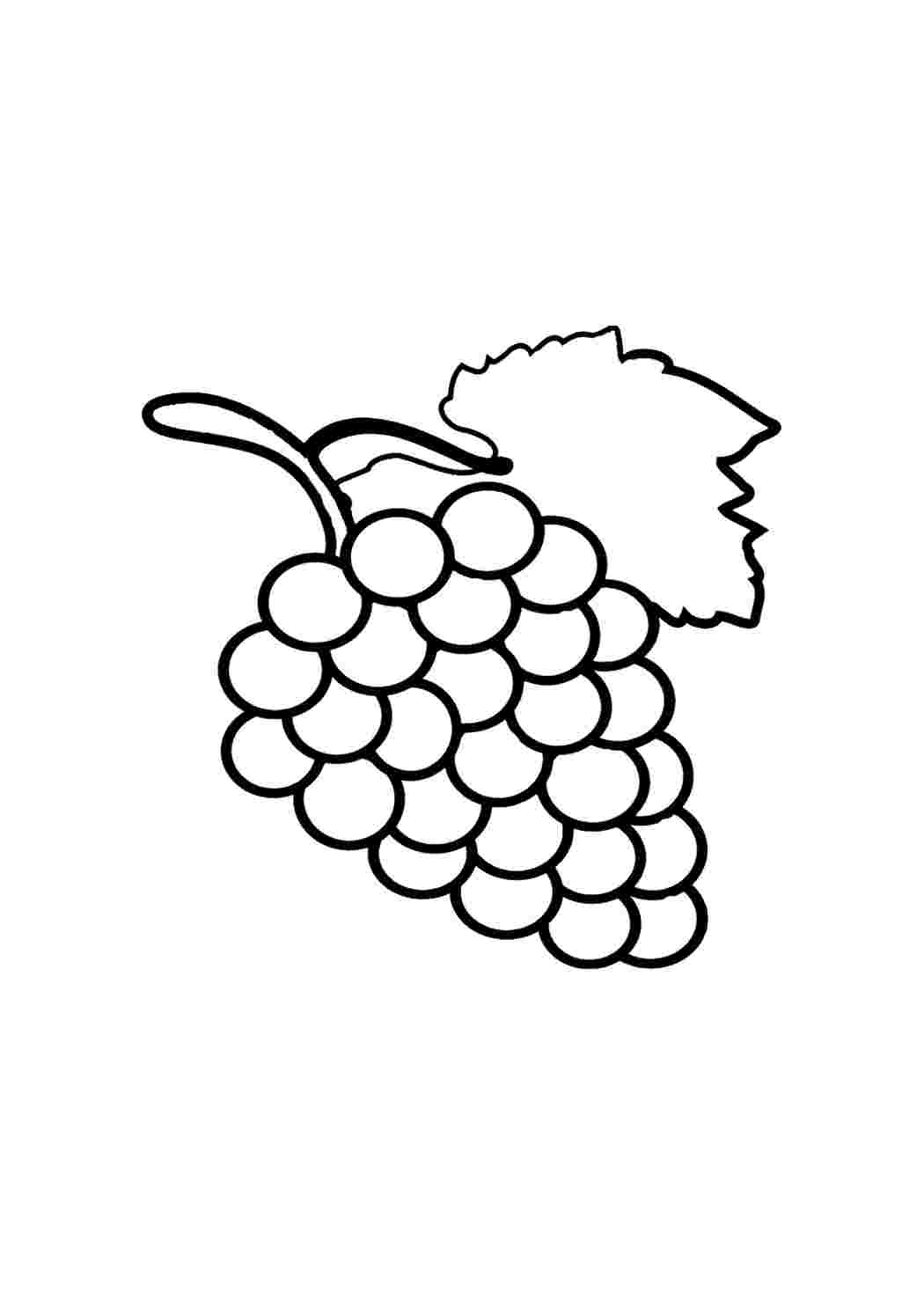 Фрукты виноград на английском раскраска