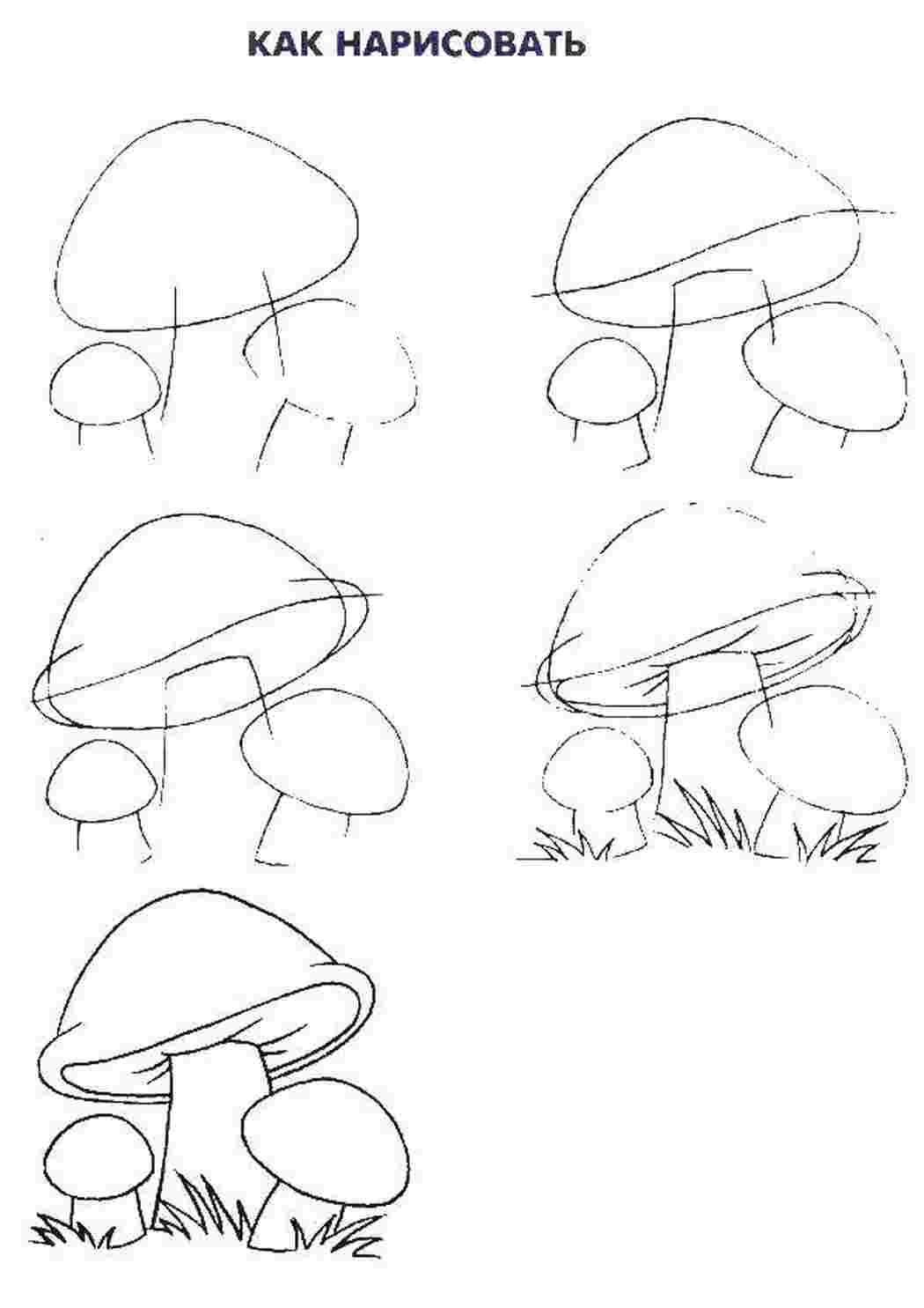 Рисовать грибы карандашом