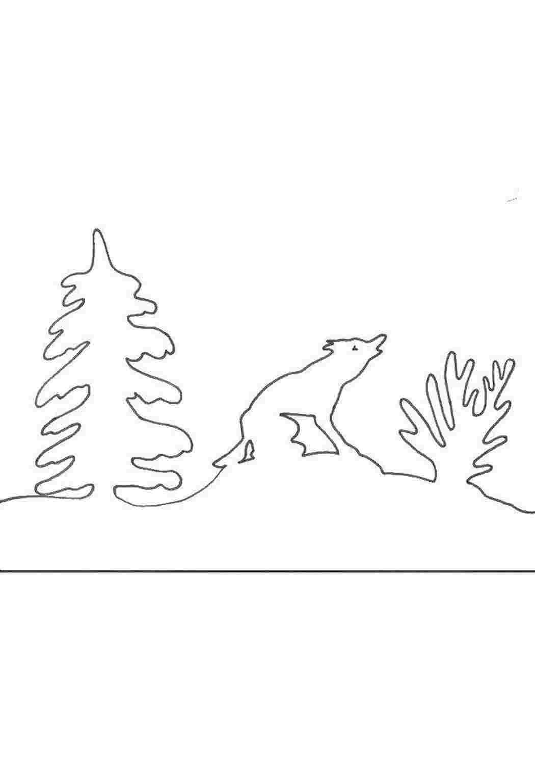 Раскраска Зимний контур