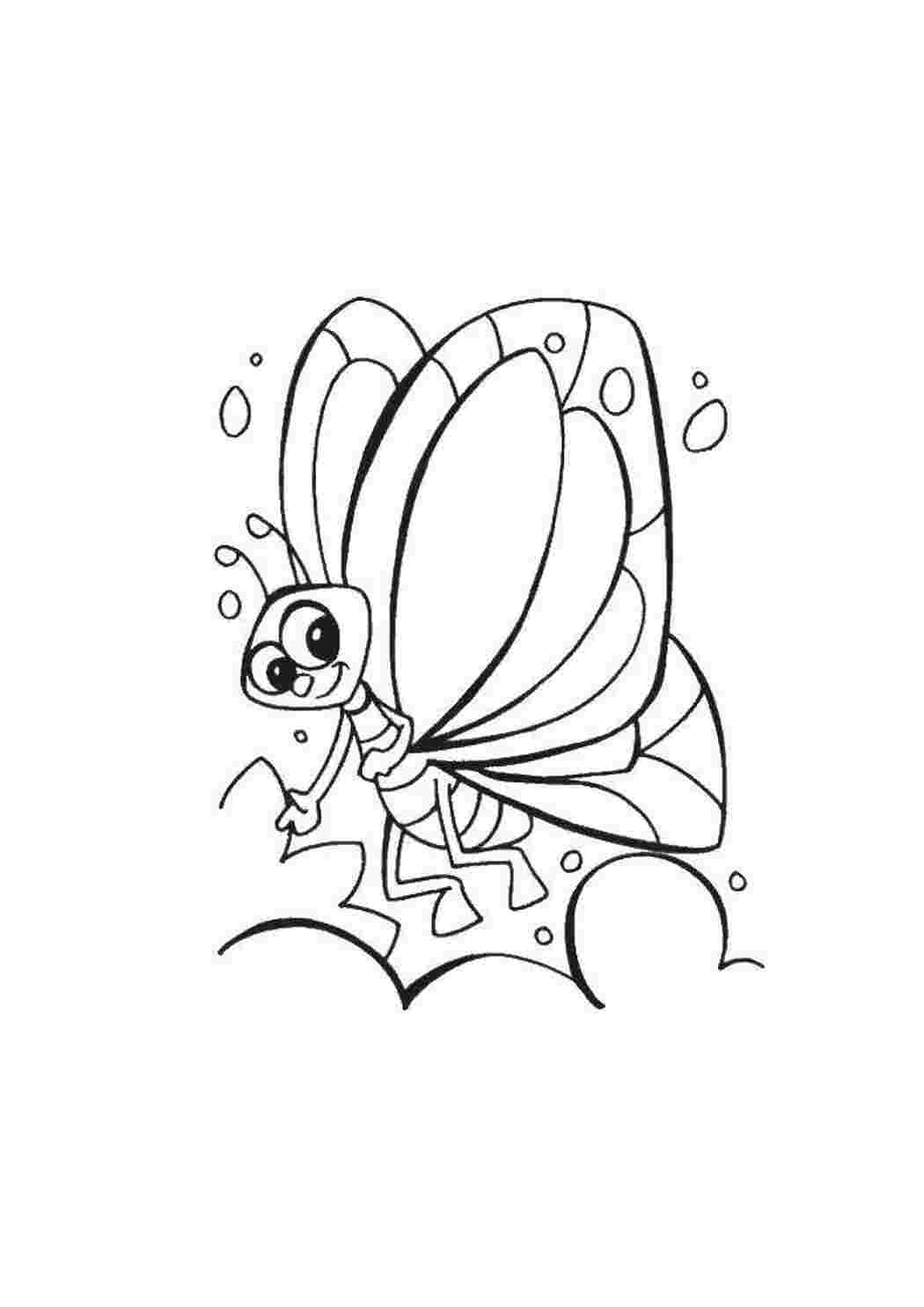 Раскраска Бабочка