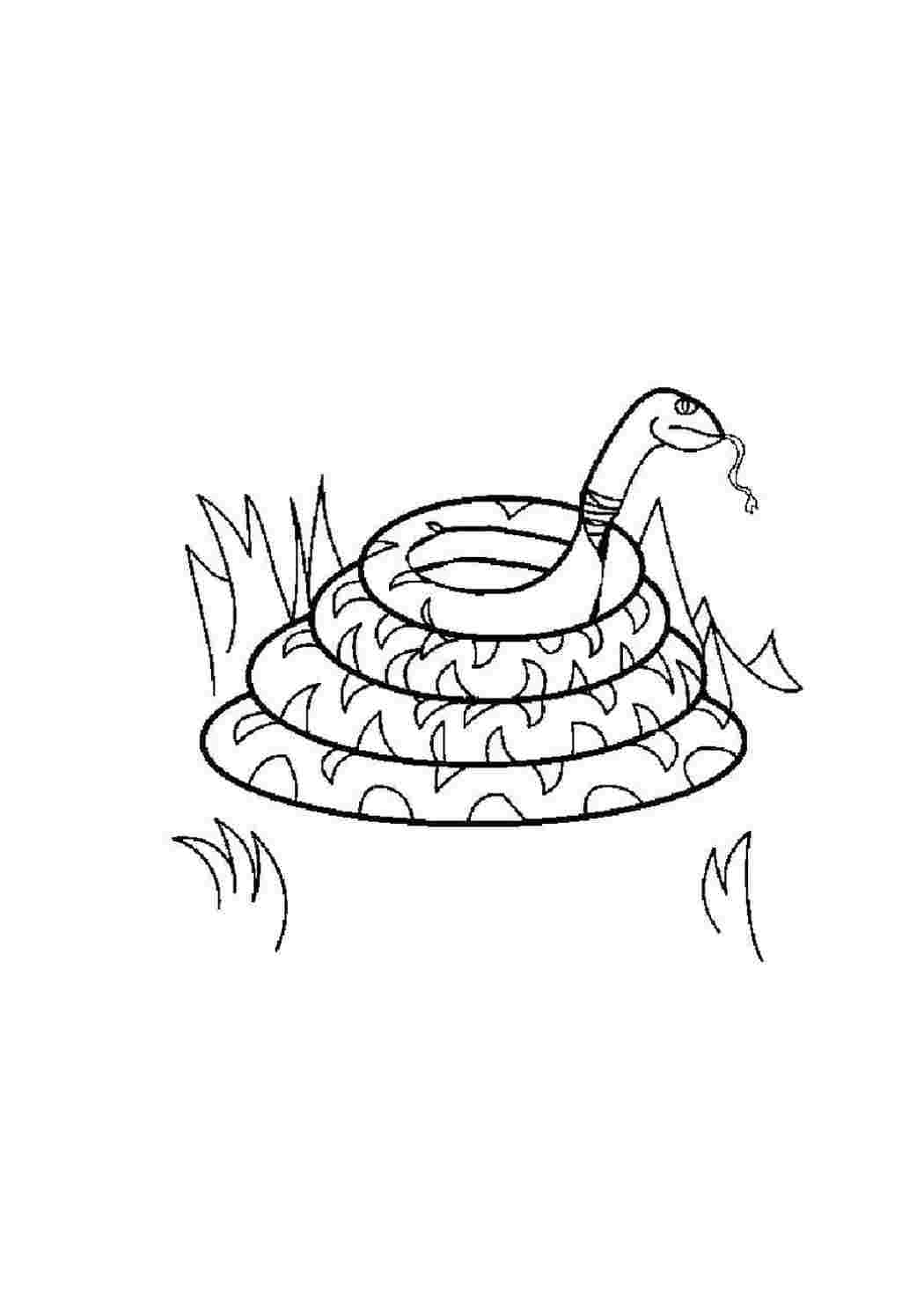 Раскраска Змея
