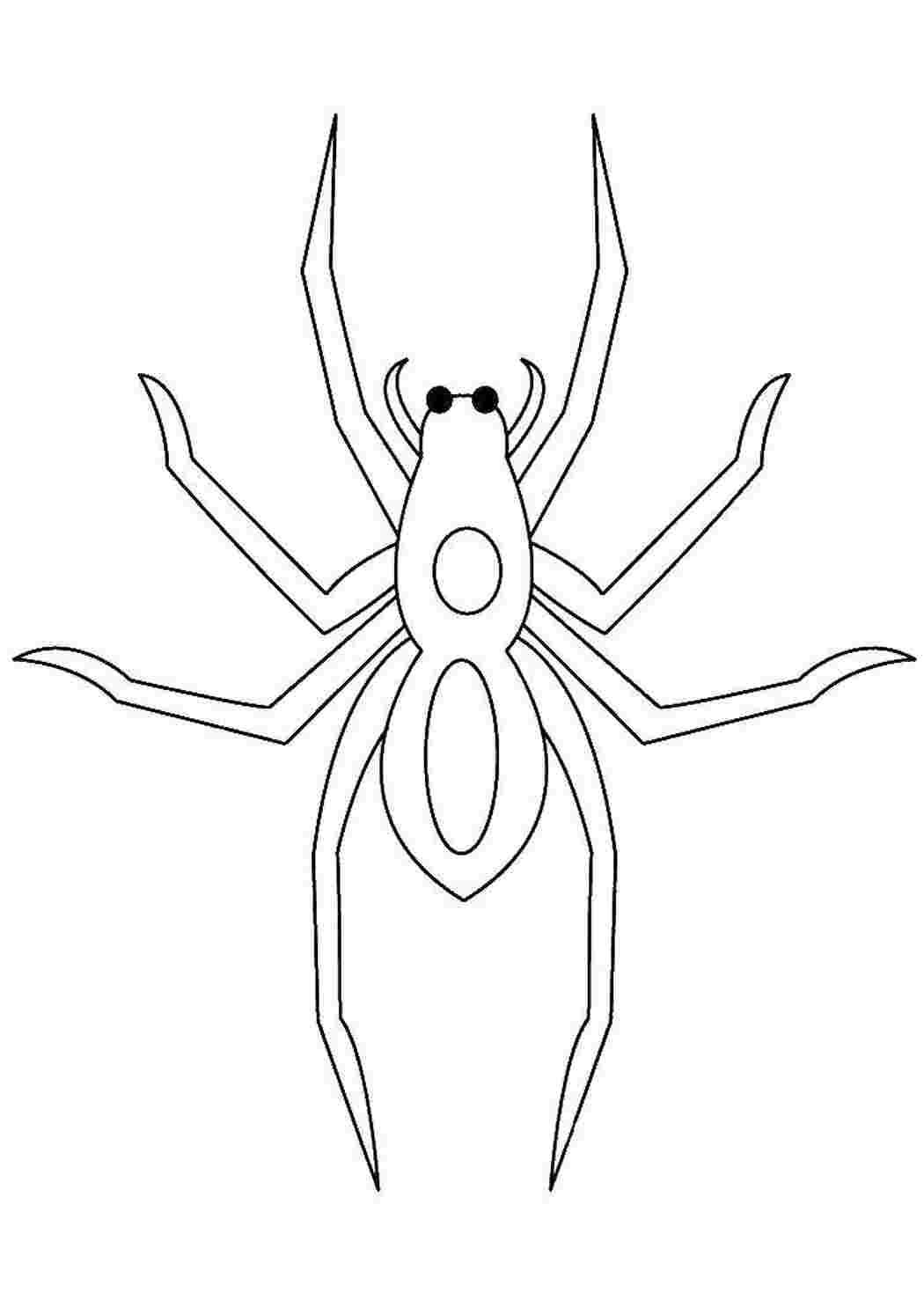 Паук раскраска распечатать. Паук раскраска. Раскраски пауков. Пауки для распечатки. Раскраска паучок.