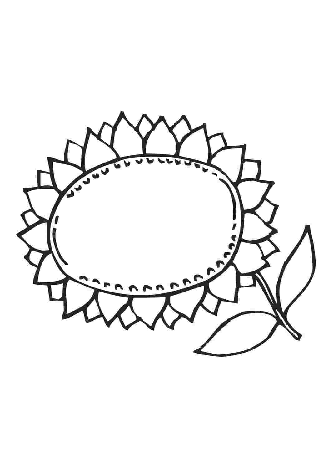 Рисунок подсолнуха для детей 2 класс