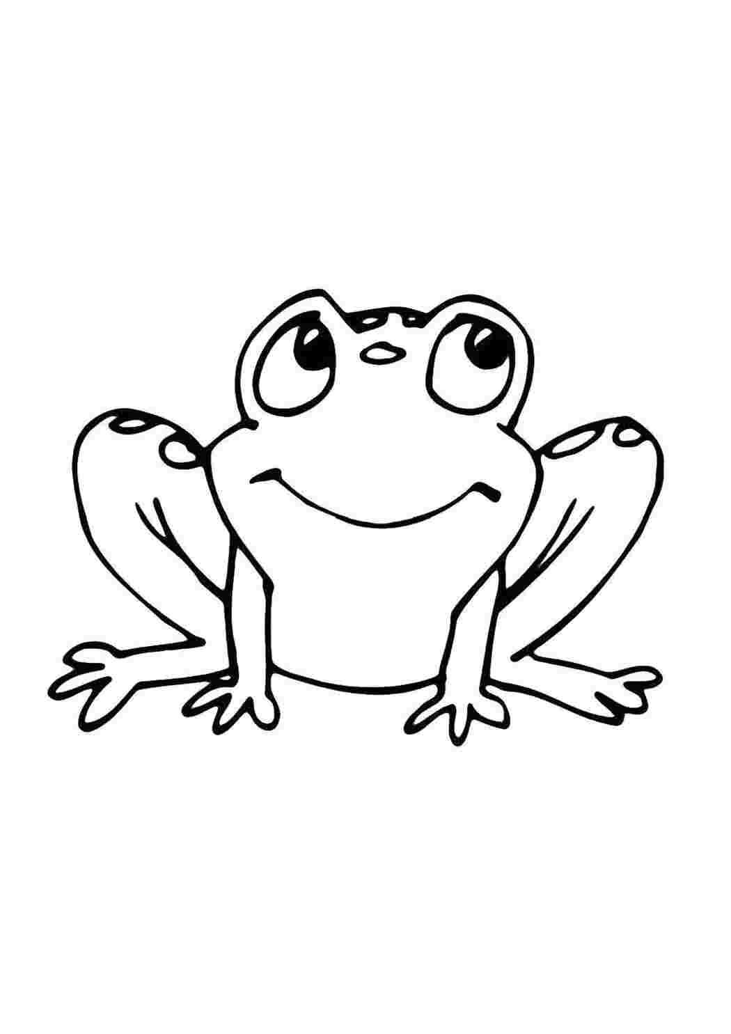Раскраска Лягушка
