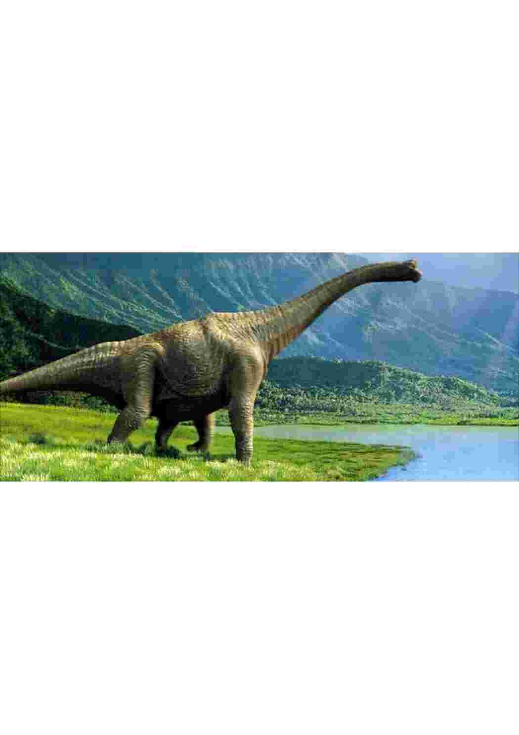 Раскраска динозавры большие разных видов динозавры