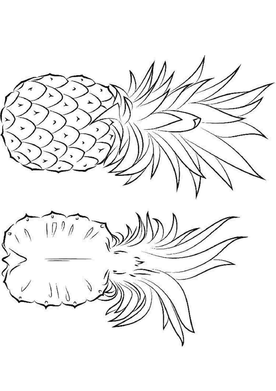 Раскраска Ананас