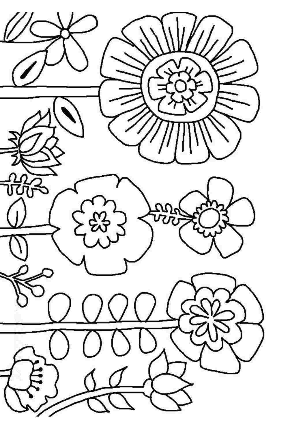 Раскраска Цветы