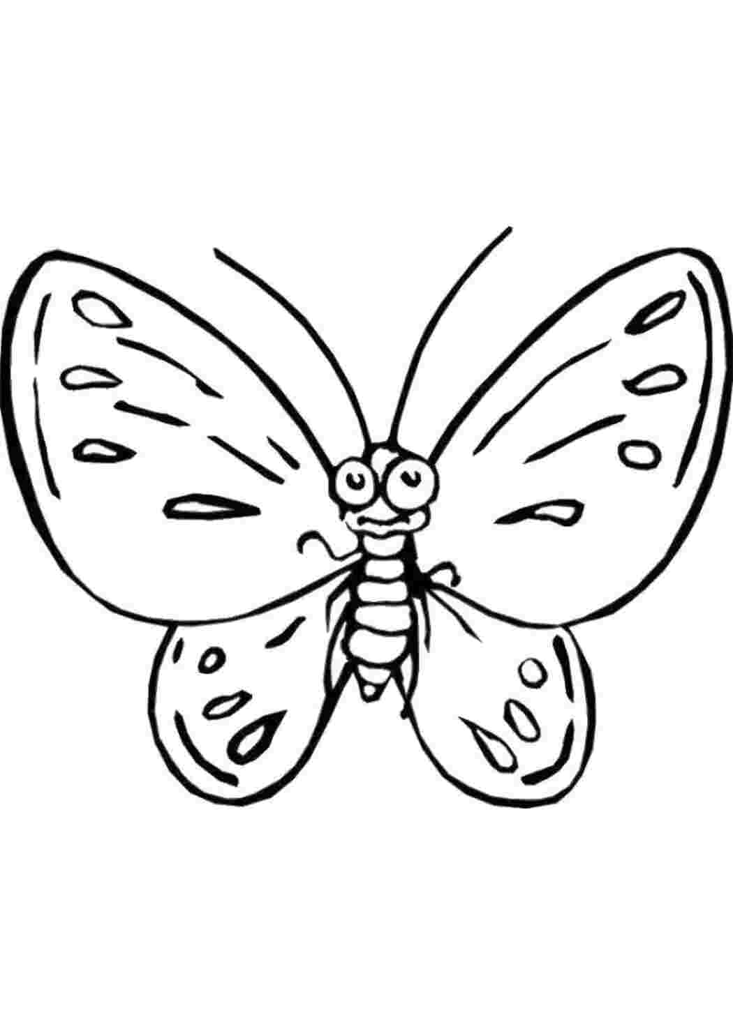 Раскраска Милый мотылёк