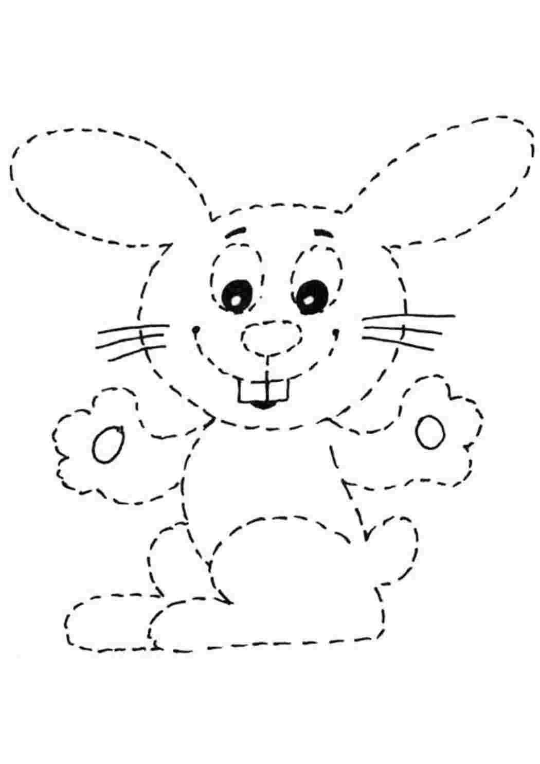 Раскраска Обведи зайчика