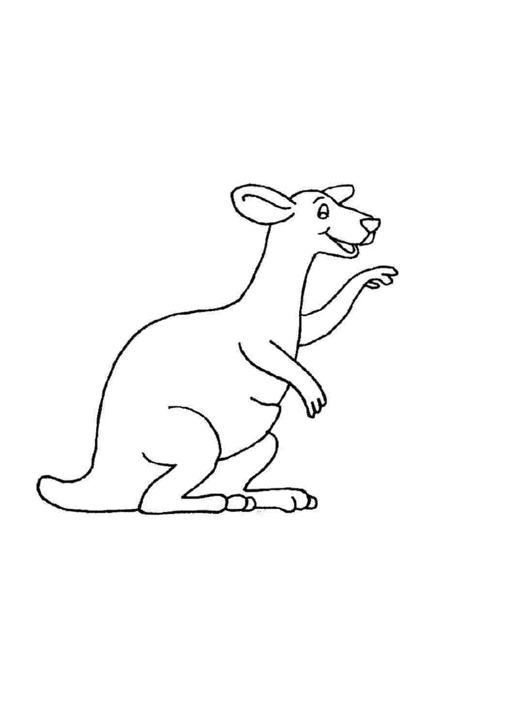 Раскраска Разукрашка кенгуру