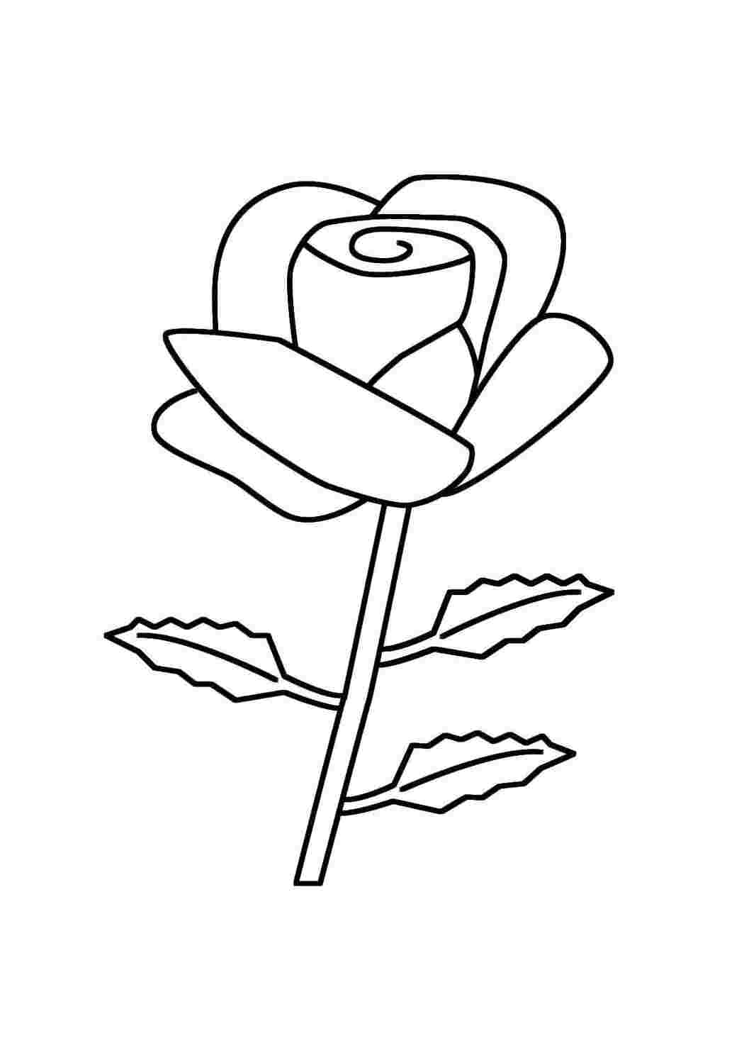 Раскраска Розочка