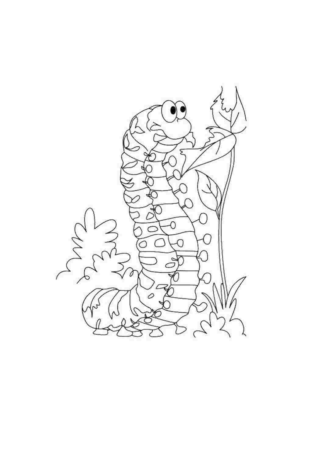 Раскраска Гусеница