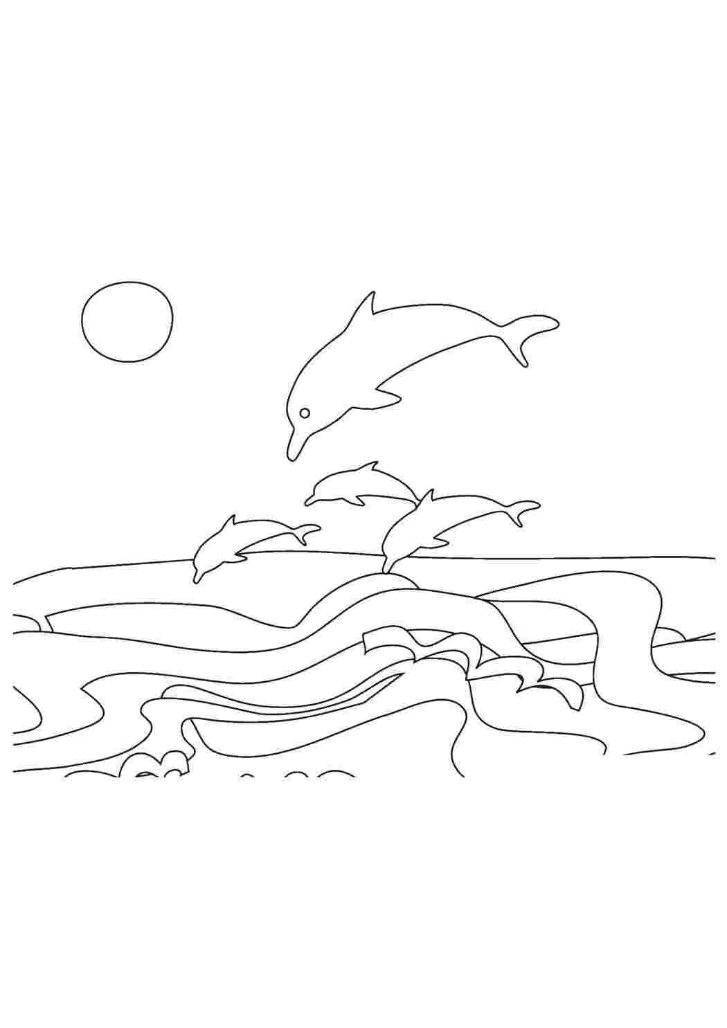 Раскраска Дельфины