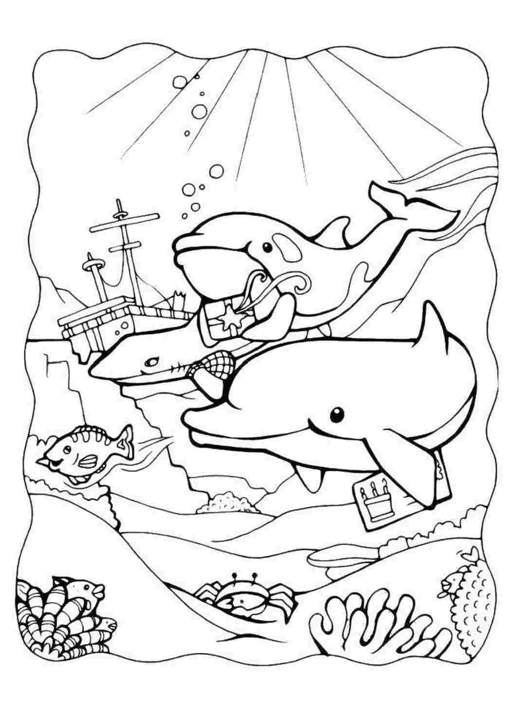 Раскраска киты и дельфины