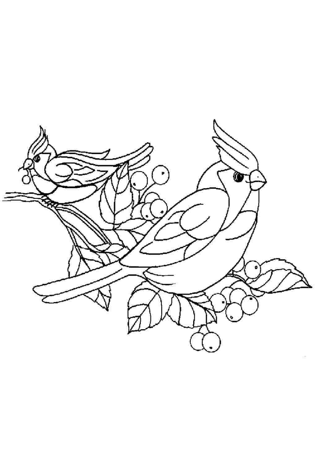 Раскраска Птички на рябине