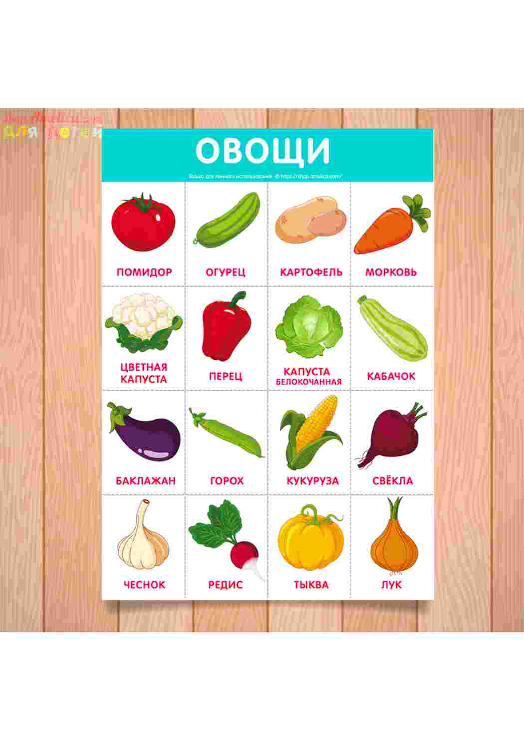 Плакат овощи и фрукты для детского сада