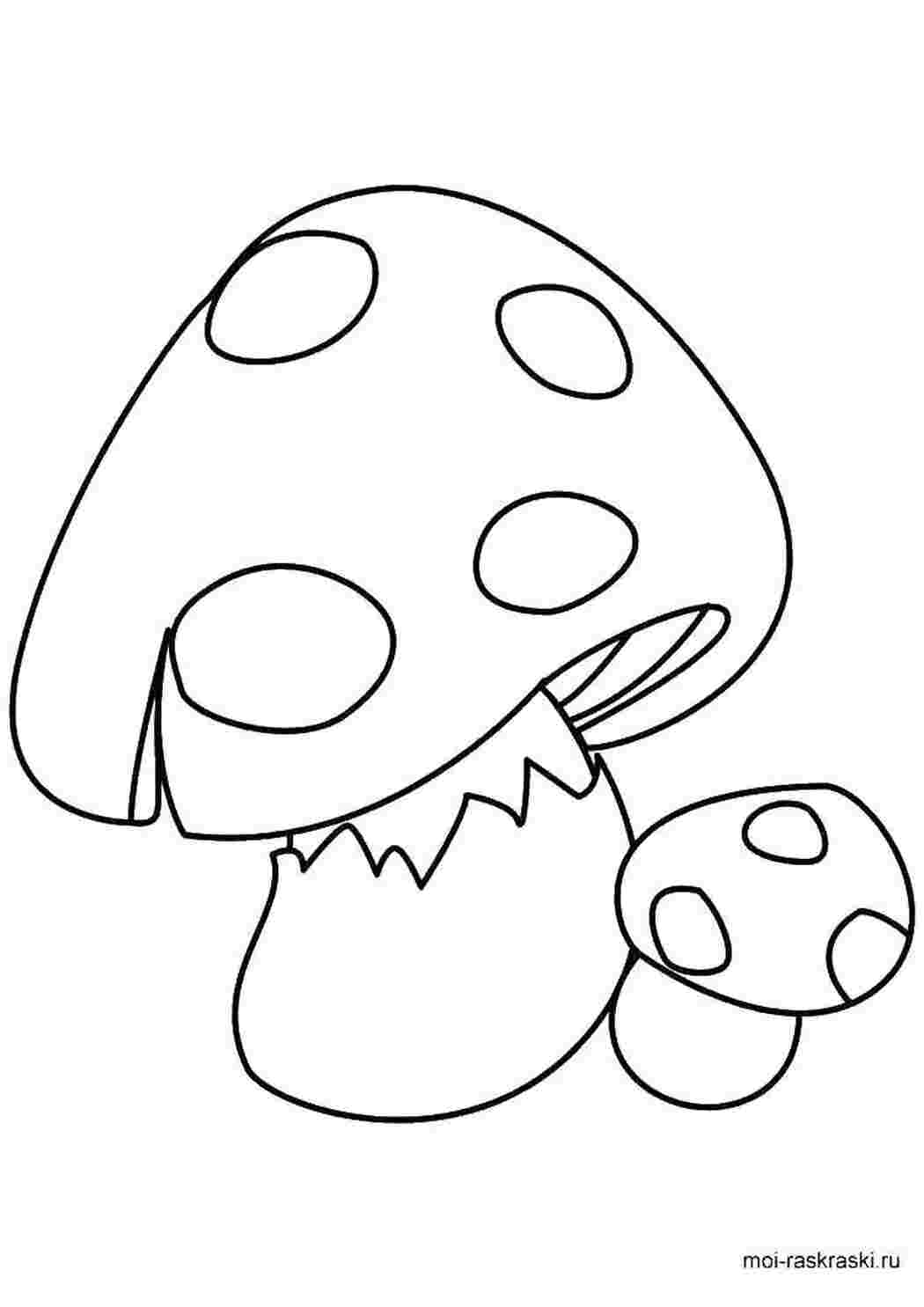 Раскраска Грибы