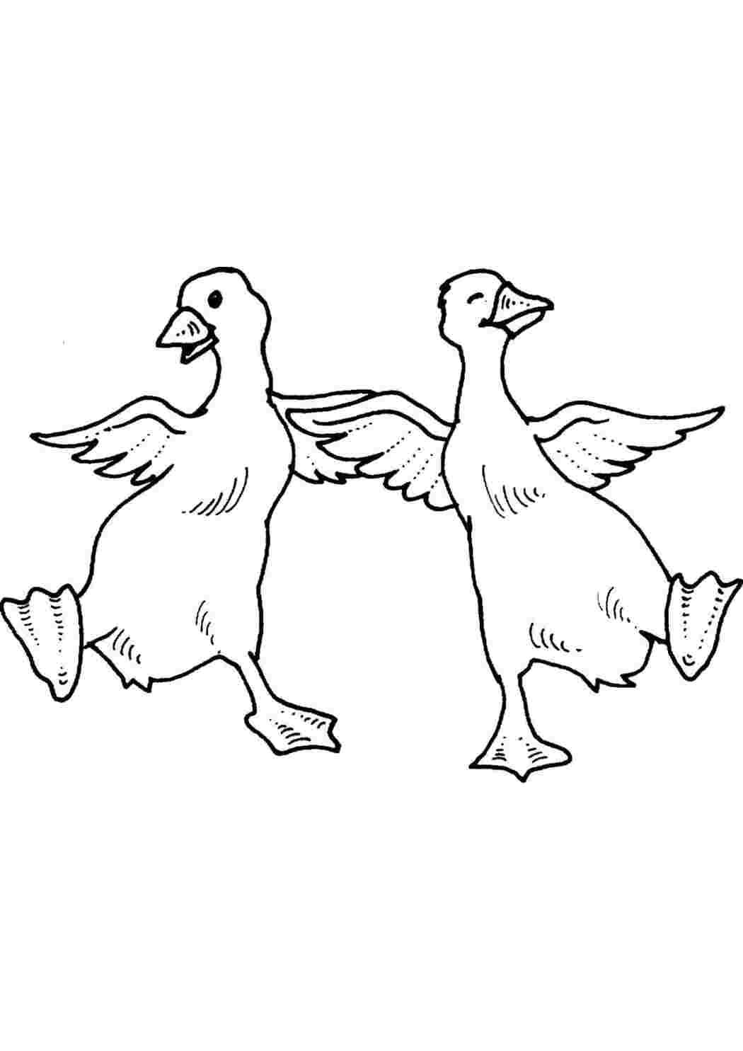 Раскраска Гуси танцуют 