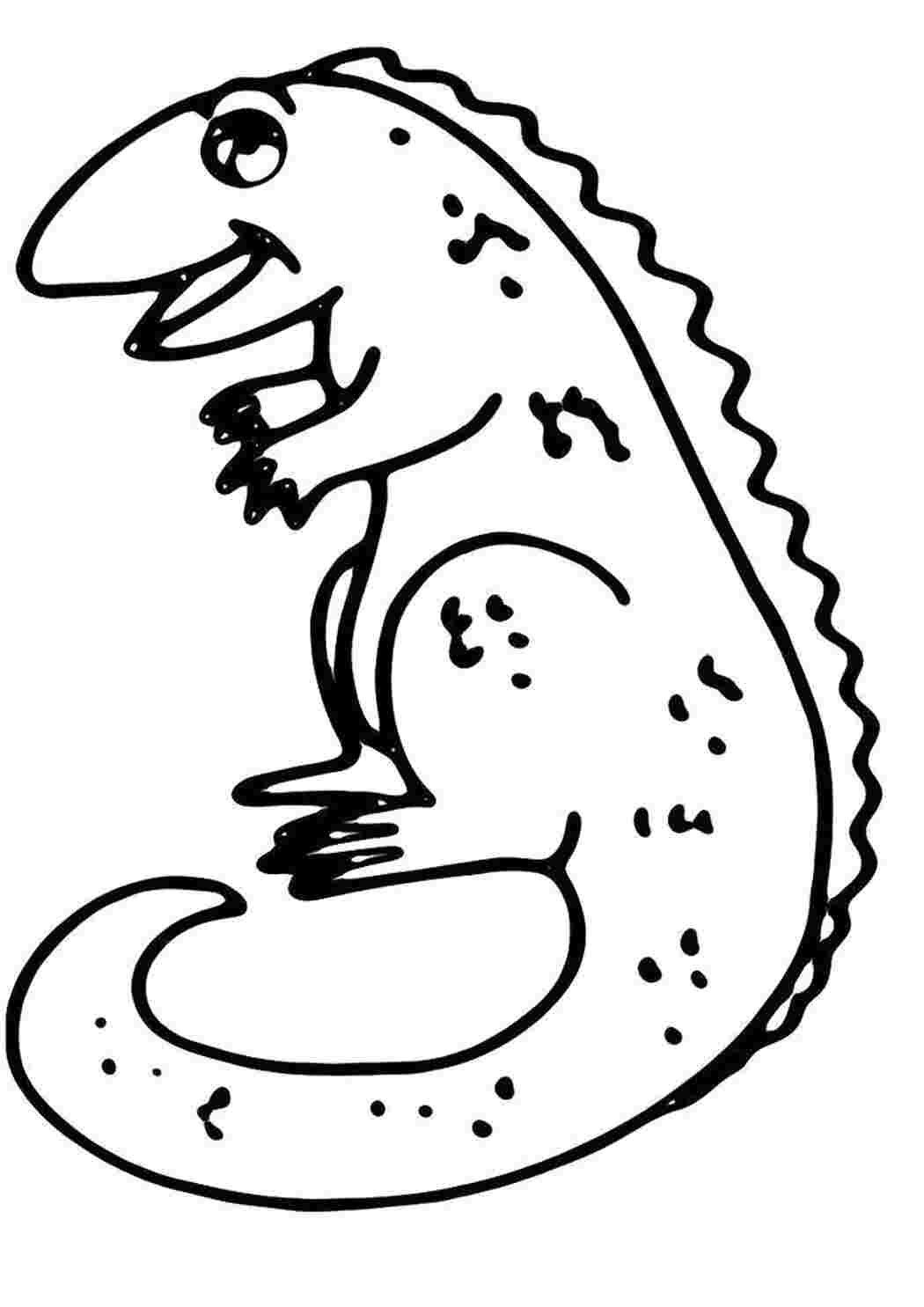 Раскраска  Довольная ящерица