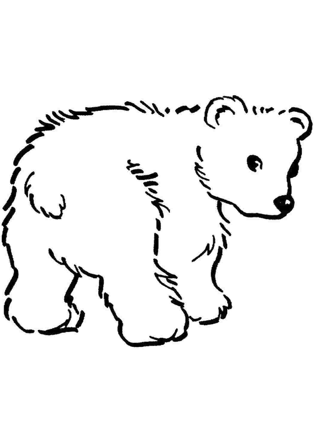 Раскраска Мишка обернулся