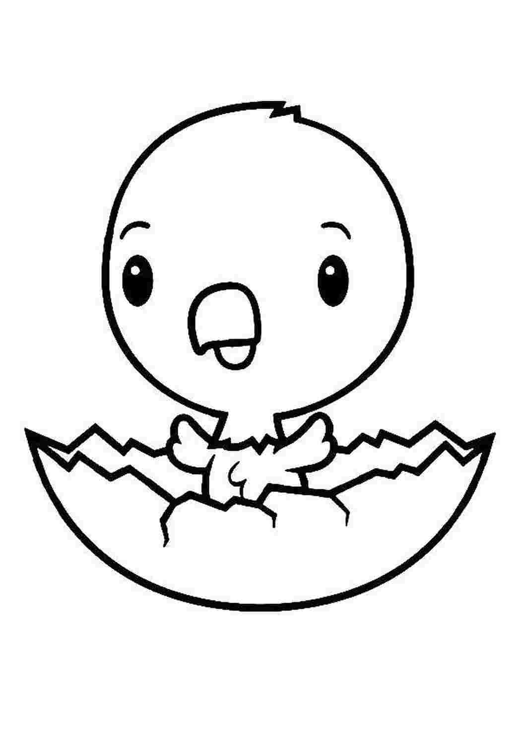 Раскраска Вылупление