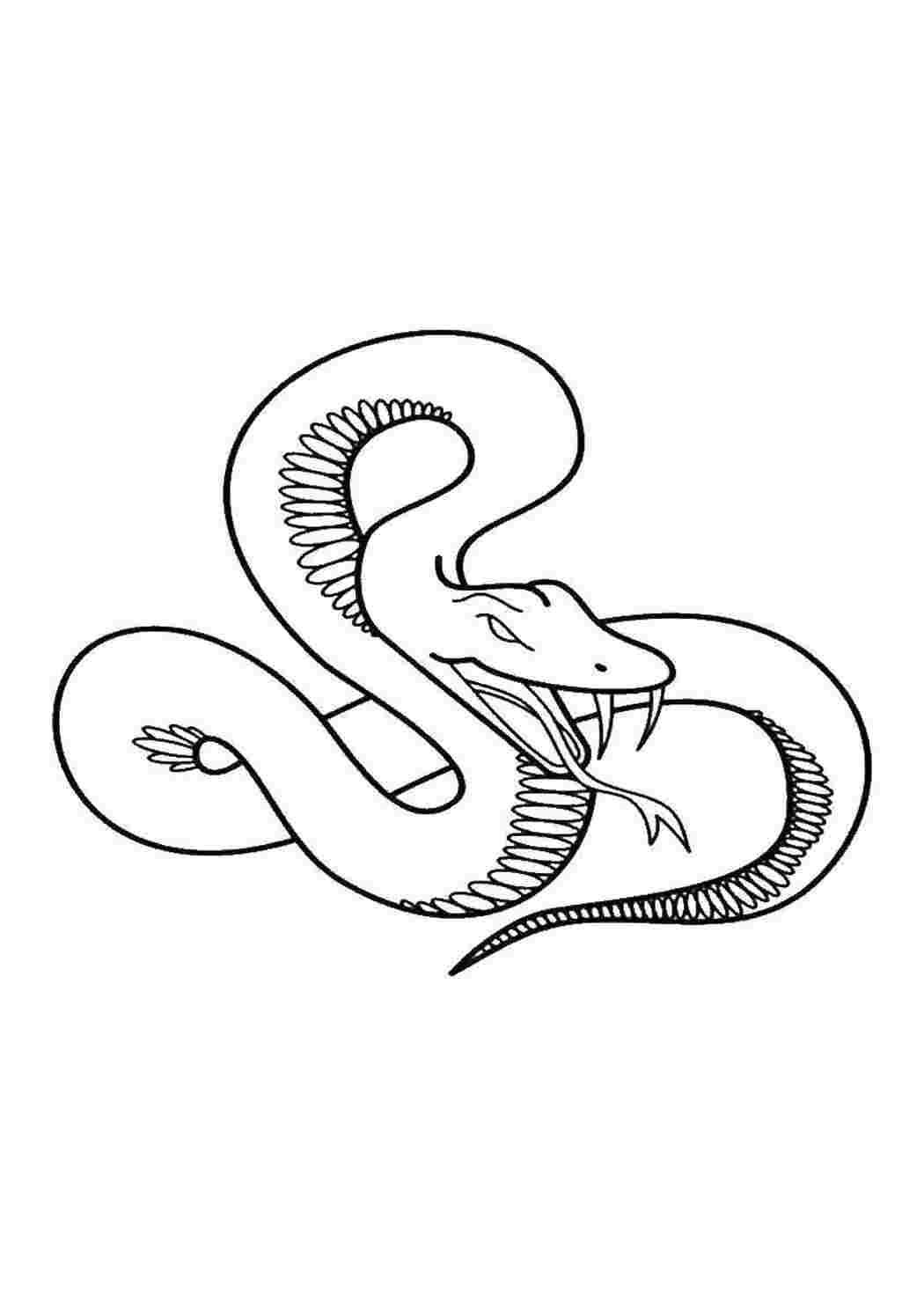 Раскраска Змея