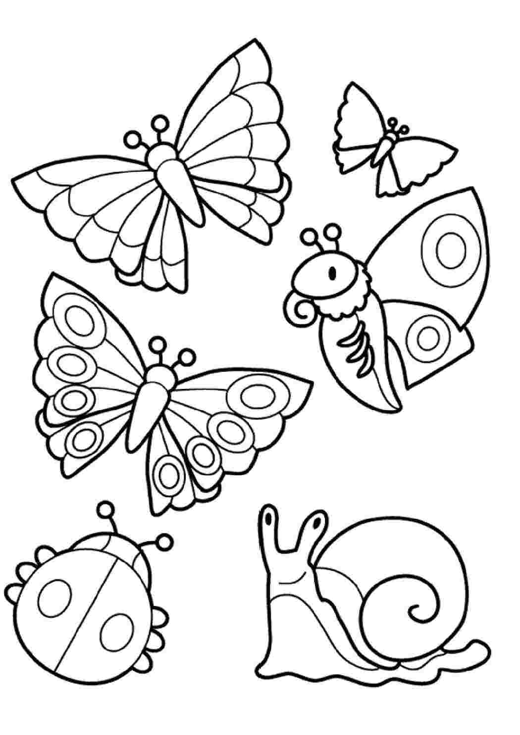 Раскраска Насекомые