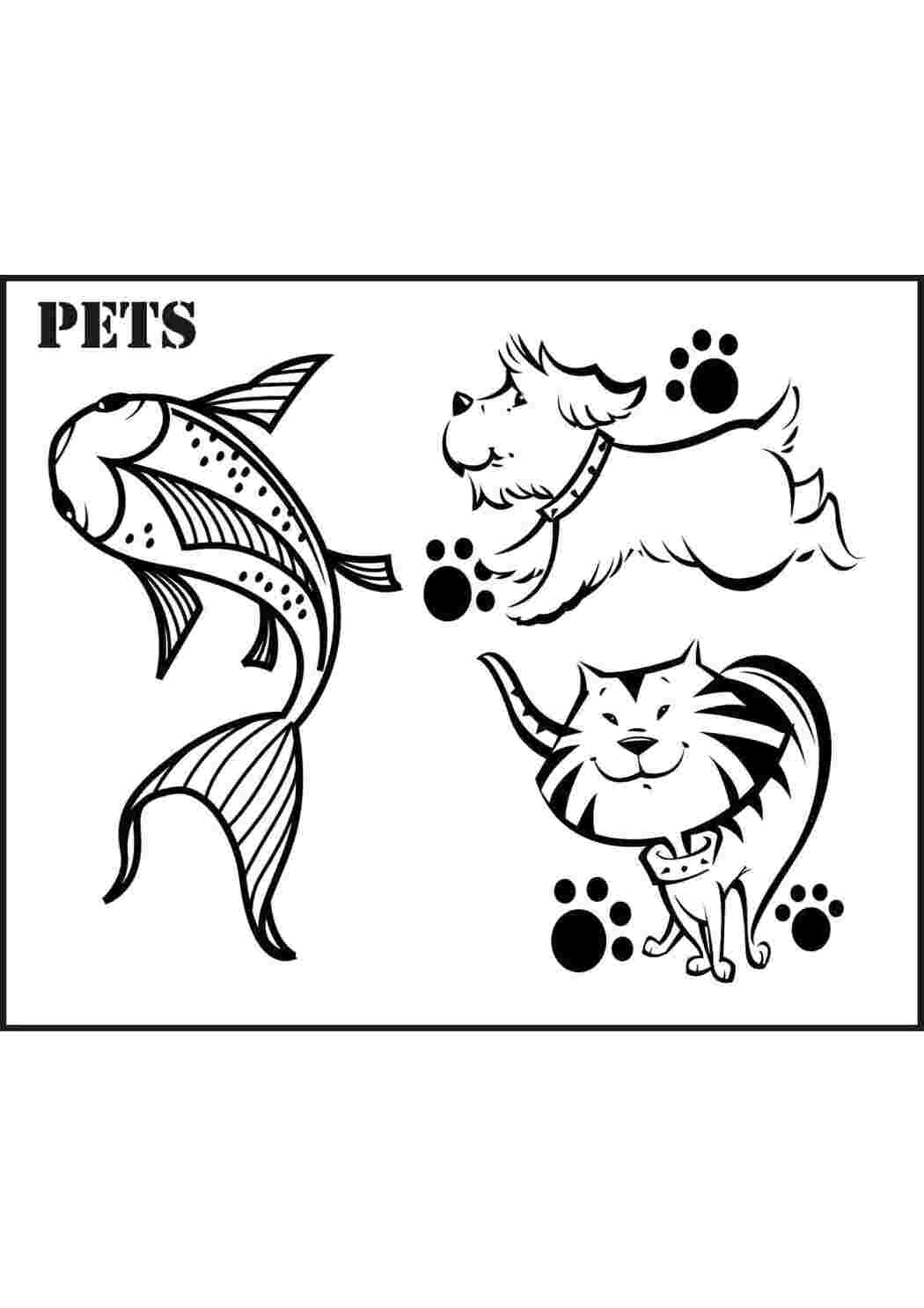 Раскраска домашние питомцы
