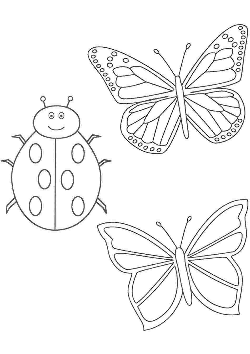 Раскраска Насекомые