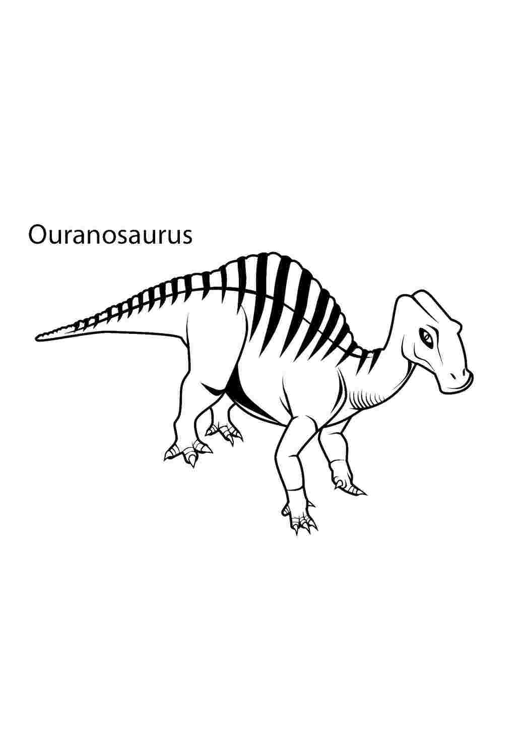Уранозавр динозавр раскраска