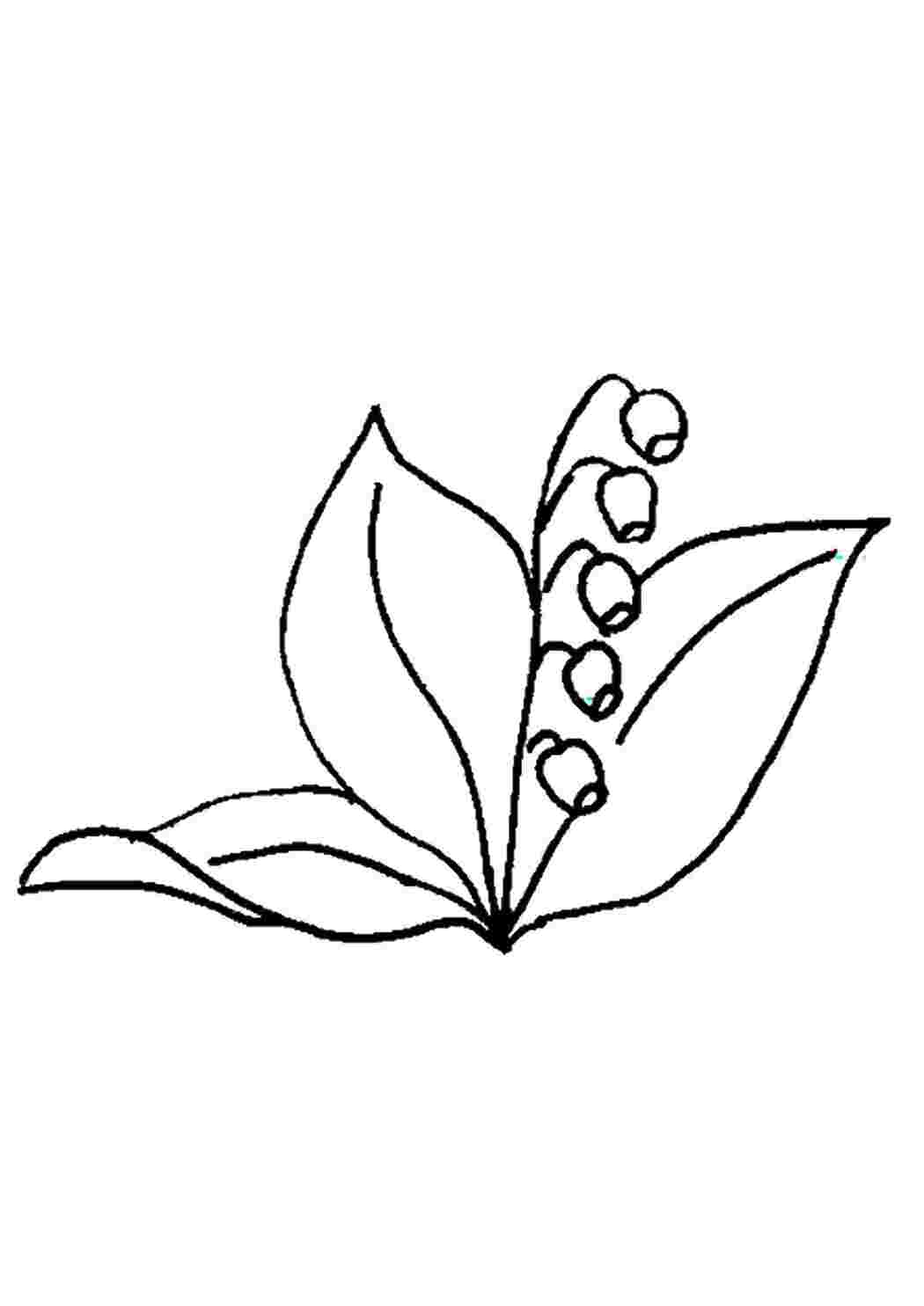 Раскраска Колокольчик