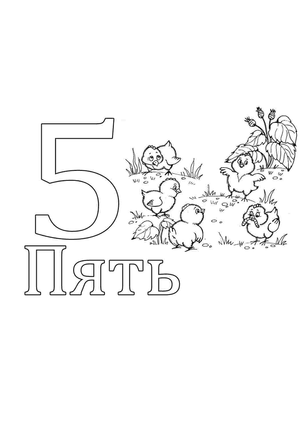 Картинка 5 раскраска