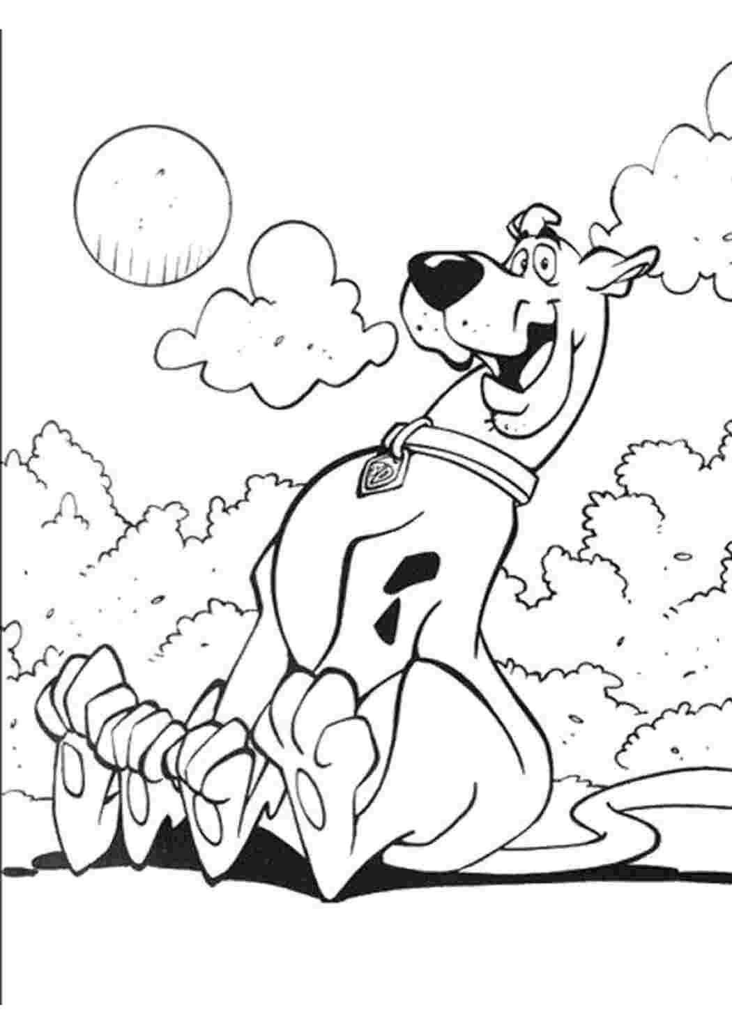 Раскраска  Скуби Ду